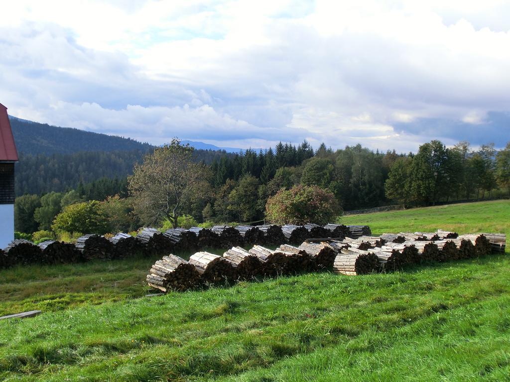 Pension Arberwald Bayerisch Eisenstein Luaran gambar